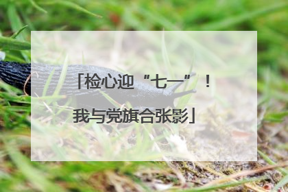 检心迎“七一”！我与党旗合张影