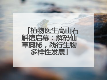 植物医生高山石斛馆启幕：解码仙草奥秘，践行生物多样性发展