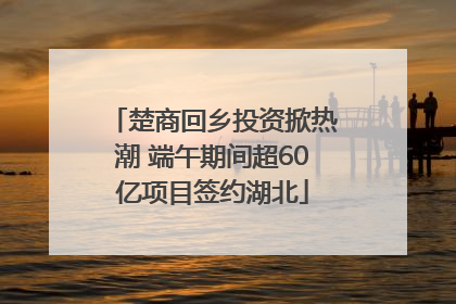 楚商回乡投资掀热潮 端午期间超60亿项目签约湖北