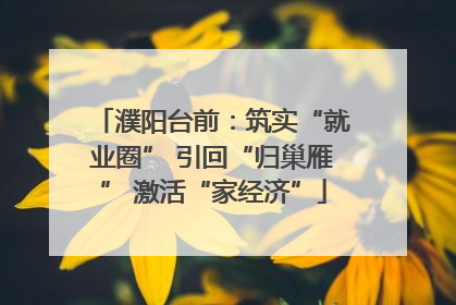 濮阳台前：筑实“就业圈” 引回“归巢雁” 激活“家经济”