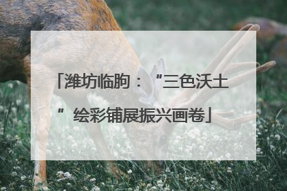 潍坊临朐：“三色沃土”绘彩铺展振兴画卷