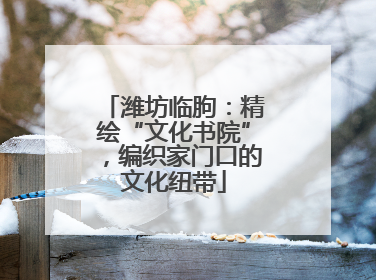 潍坊临朐：精绘“文化书院”，编织家门口的文化纽带