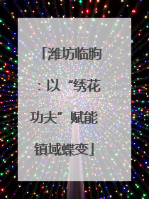 潍坊临朐：以“绣花功夫”赋能镇域蝶变