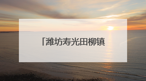 潍坊寿光田柳镇青年先锋“书写”新时代奋斗篇章