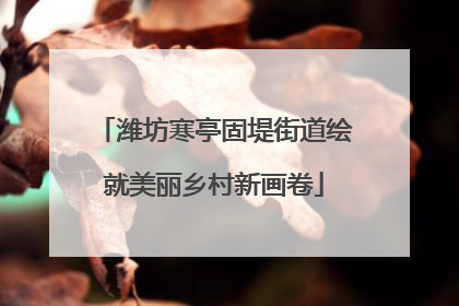 潍坊寒亭固堤街道绘就美丽乡村新画卷