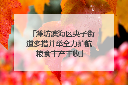 潍坊滨海区央子街道多措并举全力护航粮食丰产丰收