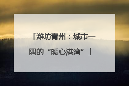 潍坊青州：城市一隅的“暖心港湾”
