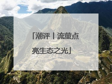 潮评丨流萤点亮生态之光