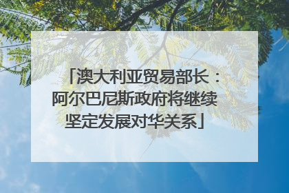 澳大利亚贸易部长：阿尔巴尼斯政府将继续坚定发展对华关系