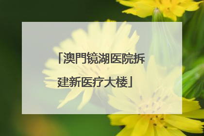 澳門镜湖医院拆建新医疗大楼