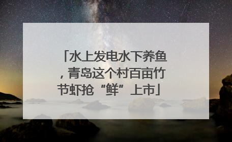 水上发电水下养鱼，青岛这个村百亩竹节虾抢“鲜”上市