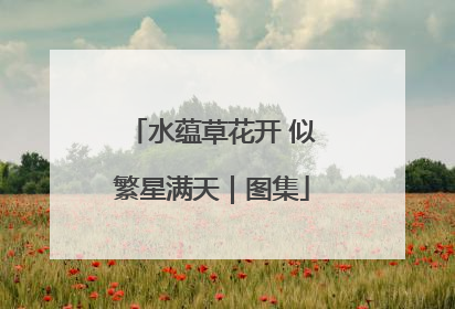 水蕴草花开 似繁星满天｜图集