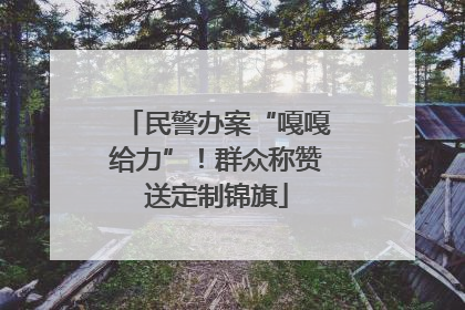 民警办案“嘎嘎给力”！群众称赞送定制锦旗