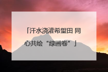 汗水浇灌希望田 同心共绘“绿画卷”