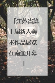 江苏省第十届新人美术作品展览在南通开幕