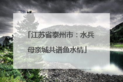 江苏省泰州市：水兵母亲城共谱鱼水情