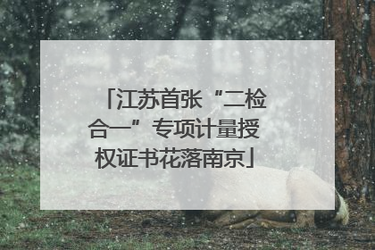 江苏首张“二检合一”专项计量授权证书花落南京
