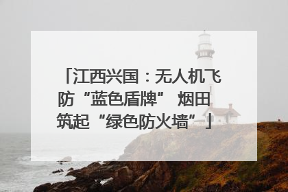 江西兴国：无人机飞防“蓝色盾牌” 烟田筑起“绿色防火墙”