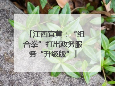 江西宜黄：“组合拳”打出政务服务“升级版”