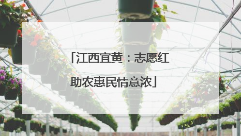 江西宜黄：志愿红助农惠民情意浓