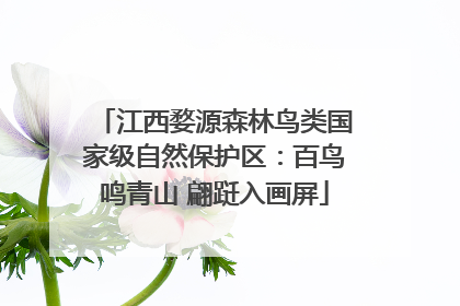 江西婺源森林鸟类国家级自然保护区：百鸟鸣青山 翩跹入画屏