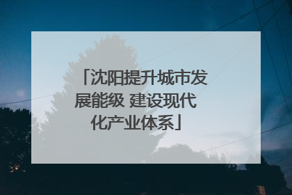 沈阳提升城市发展能级 建设现代化产业体系