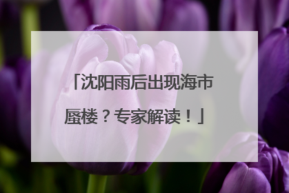 沈阳雨后出现海市蜃楼？专家解读！