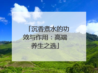沉香煮水的功效与作用：高端养生之选