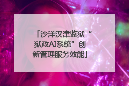 沙洋汉津监狱“狱政AI系统”创新管理服务效能