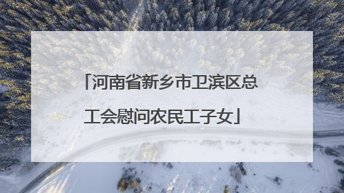 河南省新乡市卫滨区总工会慰问农民工子女