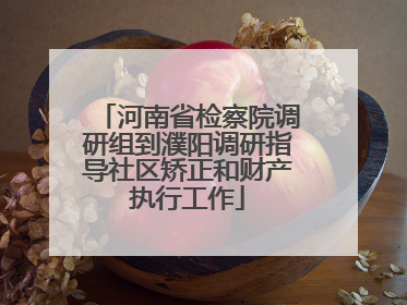 河南省检察院调研组到濮阳调研指导社区矫正和财产执行工作