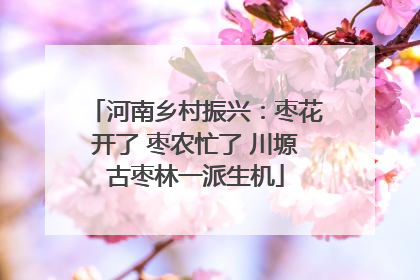 河南乡村振兴：枣花开了 枣农忙了 川塬古枣林一派生机