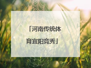 河南传统体育宜阳竞秀