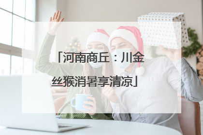 河南商丘：川金丝猴消暑享清凉