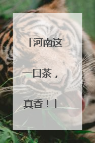 河南这一口茶，真香！