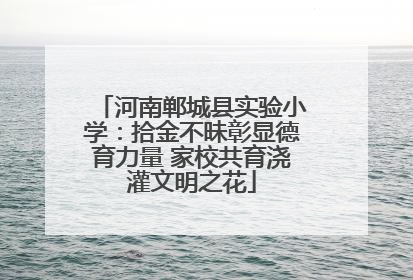 河南郸城县实验小学：拾金不昧彰显德育力量 家校共育浇灌文明之花