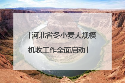 河北省冬小麦大规模机收工作全面启动