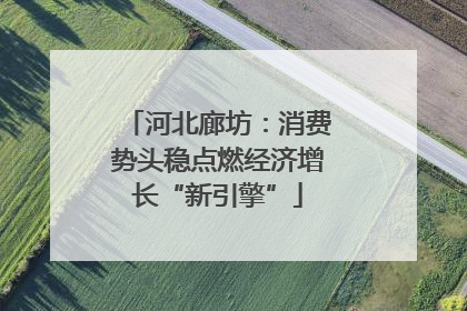 河北廊坊：消费势头稳点燃经济增长“新引擎”