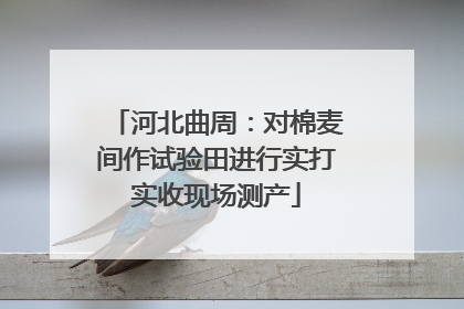 河北曲周：对棉麦间作试验田进行实打实收现场测产