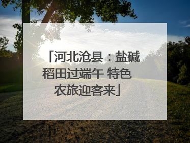 河北沧县：盐碱稻田过端午 特色农旅迎客来