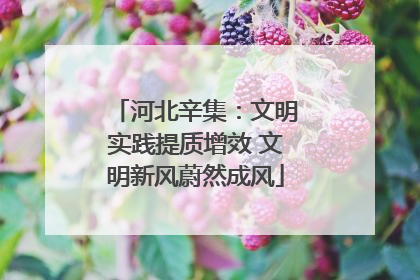 河北辛集：文明实践提质增效 文明新风蔚然成风