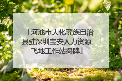 河池市大化瑶族自治县驻深圳宝安人力资源飞地工作站揭牌