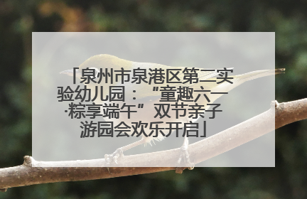 泉州市泉港区第二实验幼儿园：“童趣六一·粽享端午”双节亲子游园会欢乐开启