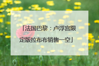 法国巴黎：卢浮宫限定版拉布布销售一空