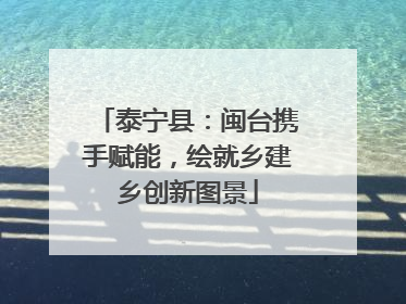 泰宁县：闽台携手赋能，绘就乡建乡创新图景