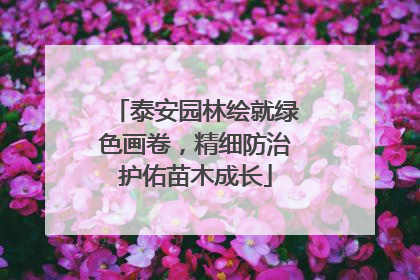 泰安园林绘就绿色画卷，精细防治护佑苗木成长