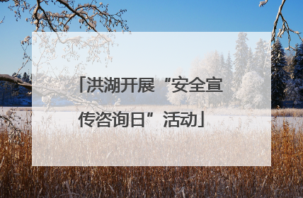 洪湖开展“安全宣传咨询日”活动