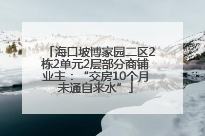 海口坡博家园二区2栋2单元2层部分商铺业主：“交房10个月未通自来水”