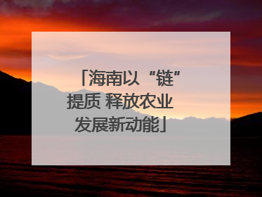 海南以“链”提质 释放农业发展新动能