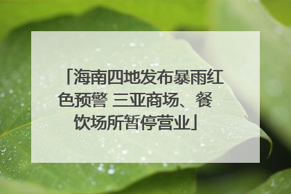 海南四地发布暴雨红色预警 三亚商场、餐饮场所暂停营业